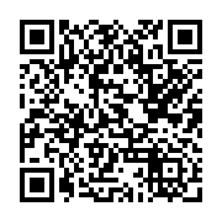 QR code for DBH313