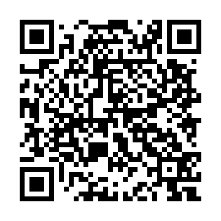 QR code for DBH533