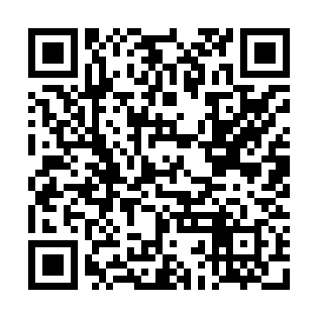 QR code for DBI838