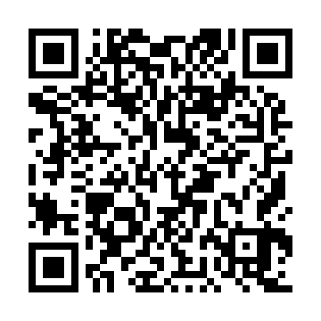 QR code for DBI963