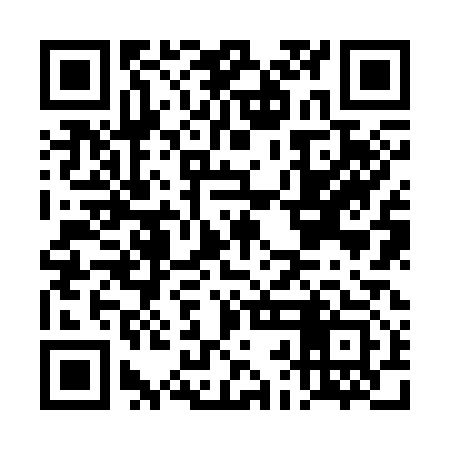 QR code for DBJ313