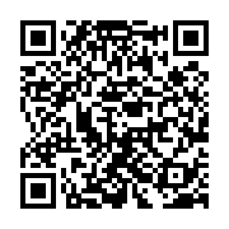 QR code for DBL539