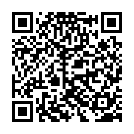 QR code for DBN335