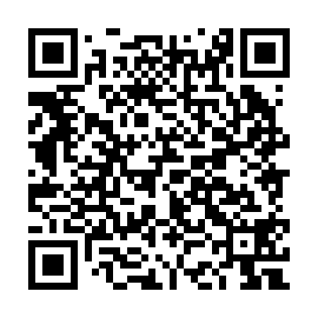 QR code for DCH218