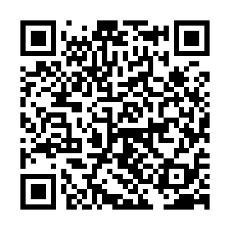 QR code for DCM919