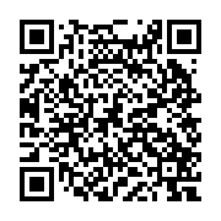 QR code for DDG207