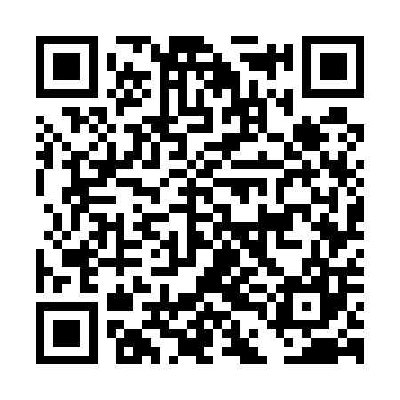 QR code for DDG507