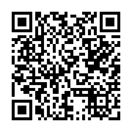 QR code for DDG729