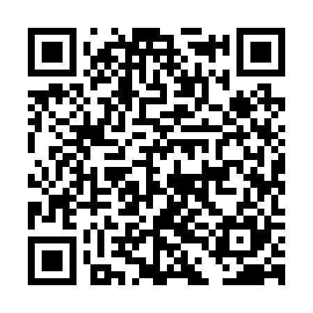 QR code for DDI225
