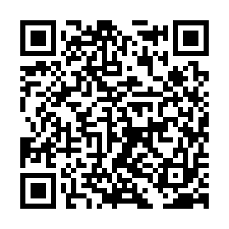 QR code for DDI313