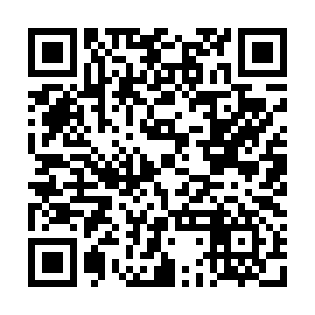 QR code for DDI497