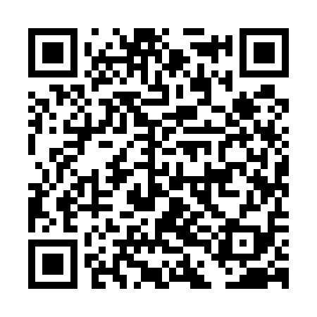 QR code for DDI519