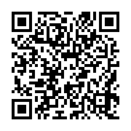 QR code for DDI878