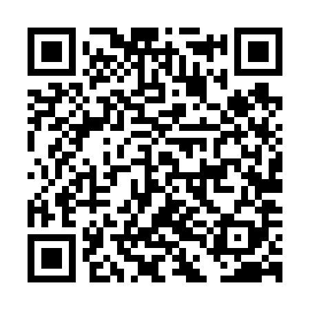 QR code for DDL689