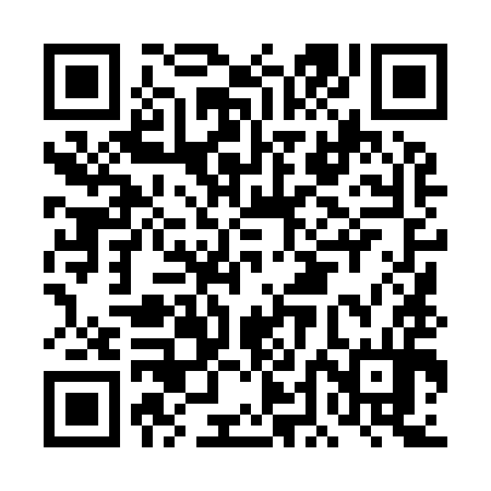QR code for DDL994