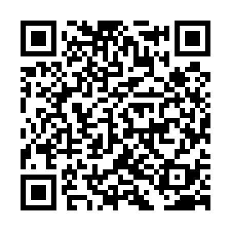 QR code for DDM539