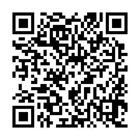 QR code for DDN394
