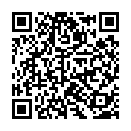 QR code for DDO739