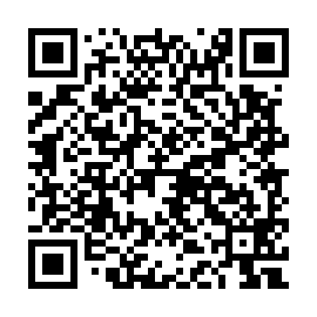 QR code for DDP599