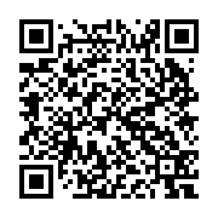 QR code for DDQ233
