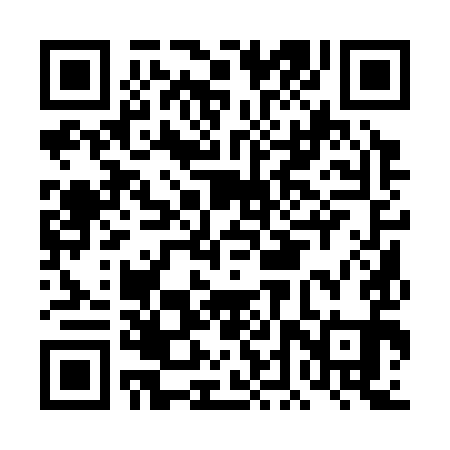 QR code for DDQ391