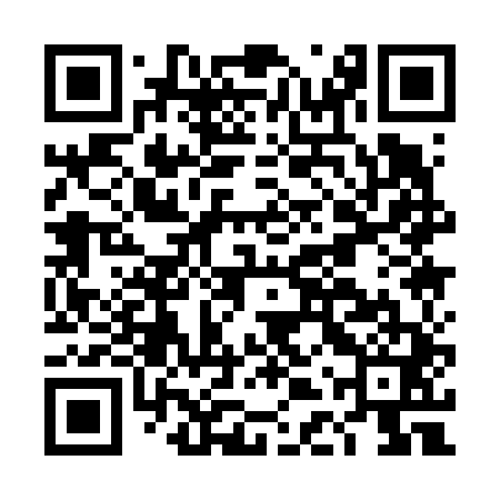QR code for DDQ641