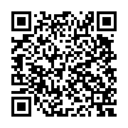 QR code for DDR413