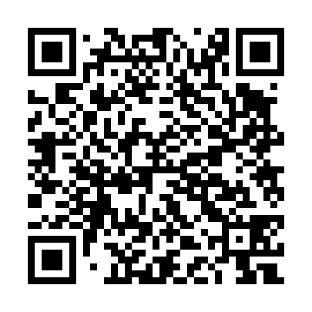 QR code for DDR438