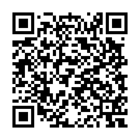 QR code for DDT011
