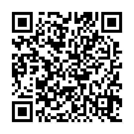 QR code for DDT234