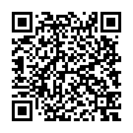 QR code for DDT539