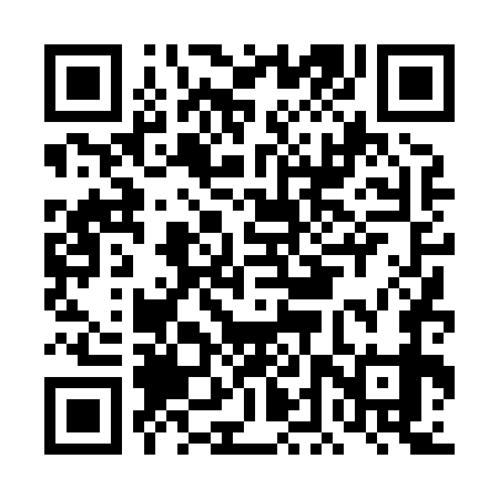 QR code for DDT879
