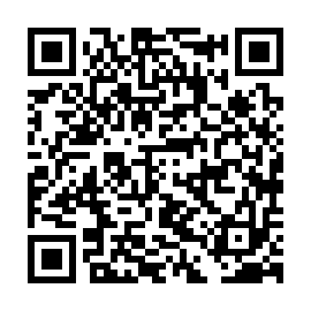 QR code for DDX313