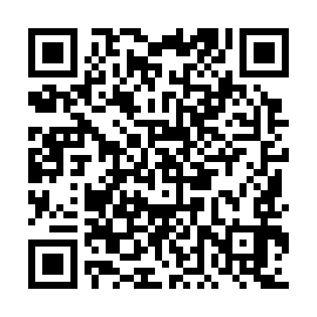 QR code for DDY393