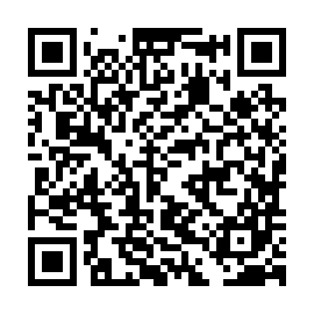QR code for DDZ287