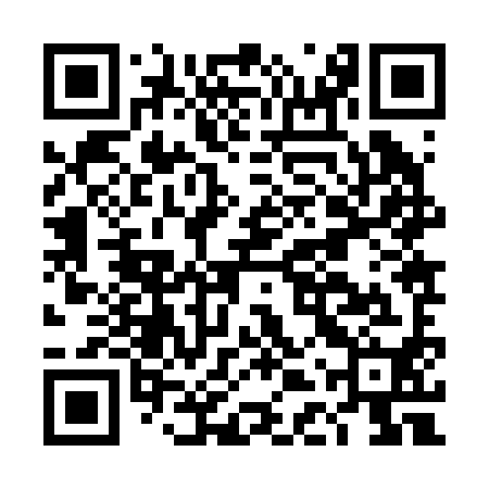QR code for DDZ290
