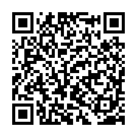 QR code for DDZ291