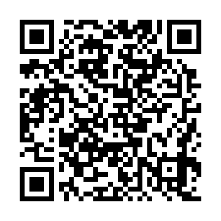 QR code for DDZ379