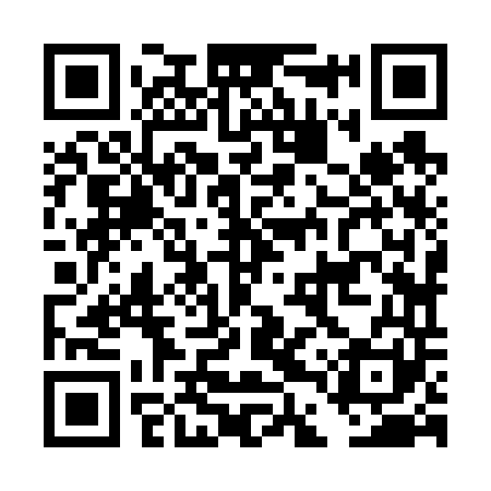 QR code for DDZ641