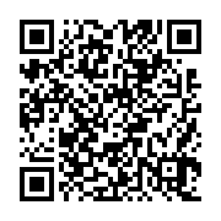 QR code for DDZ667