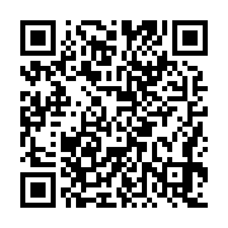 QR code for DDZ873