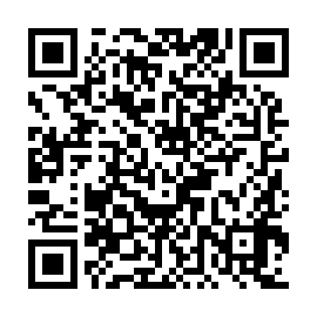 QR code for DDZ998