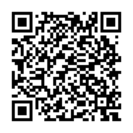 QR code for DEI315