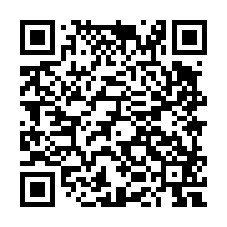 QR code for DEI483