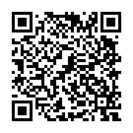 QR code for DEI497