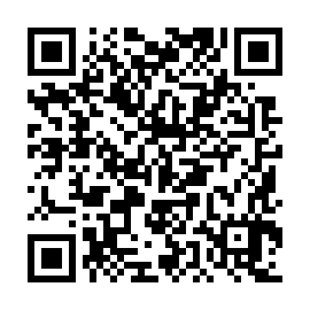 QR code for DEI787