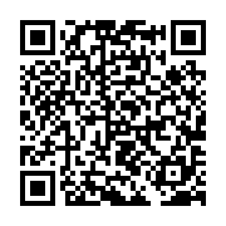QR code for DEL295