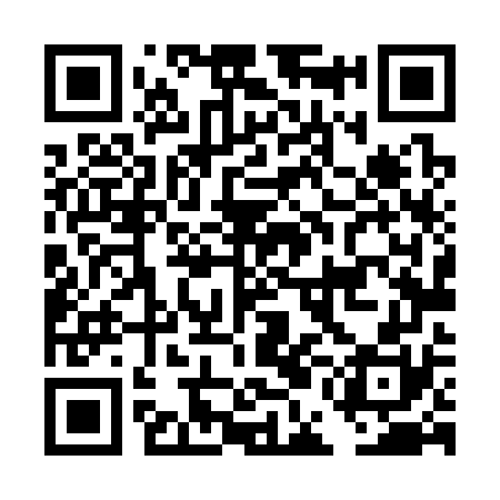 QR code for DEL370