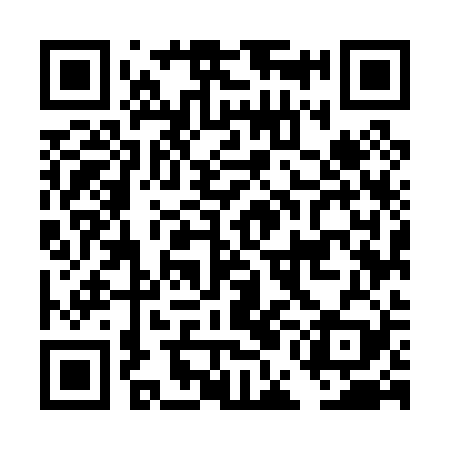 QR code for DEM029