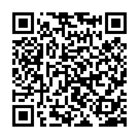 QR code for DEN438